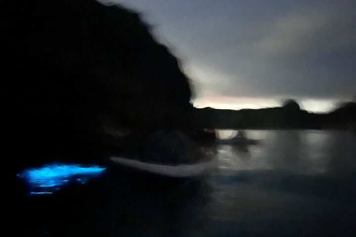 Bioluminescent Plankton Kayak Boat Tour