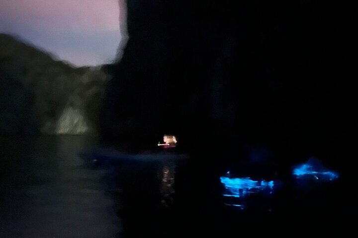 Bioluminescent Plankton Kayak Boat Tour