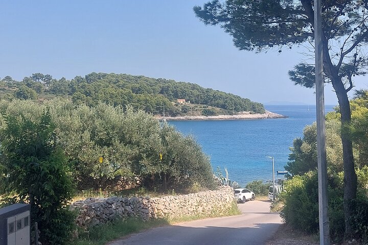 Korčula Island Half Day Tour with a Local Guide