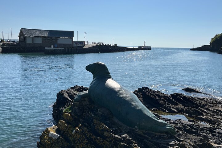 Looe Walking Tours - Historic Tales