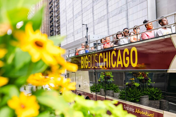 Chicago Hop-On Hop-Off Sightseeing Tour by Open-top Bus