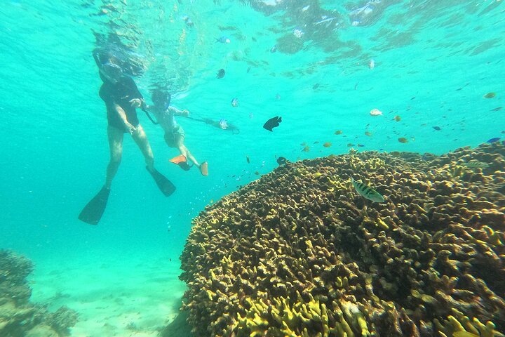 Okinawa: Private Snorkeling Experience with Native English Guide