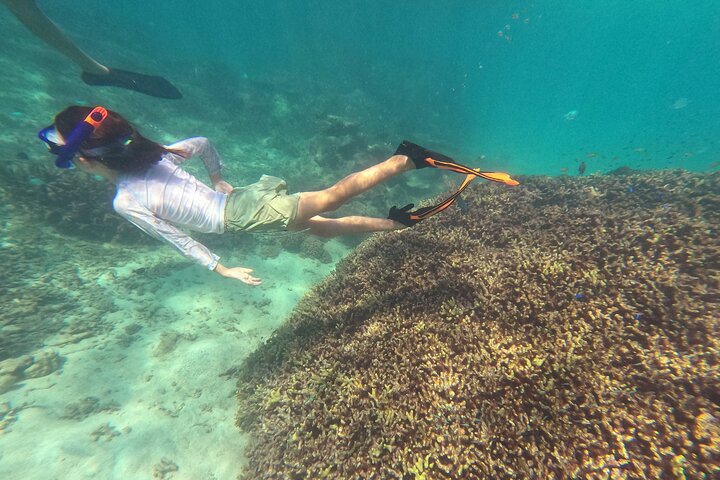 Okinawa: Private Snorkeling Experience with Native English Guide