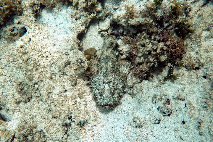 Okinawa: Private Snorkeling Experience with Native English Guide