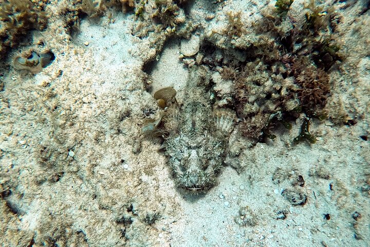 Okinawa Private Adventure Day: Beaches, Snorkeling & Waterfalls