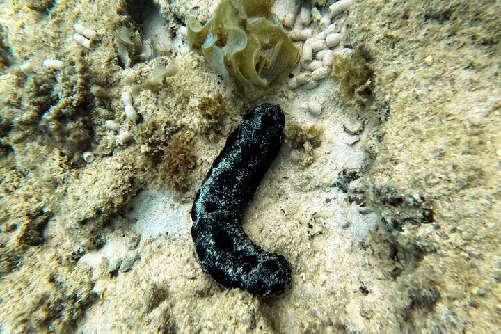 Okinawa Private Adventure Day: Beaches, Snorkeling & Waterfalls