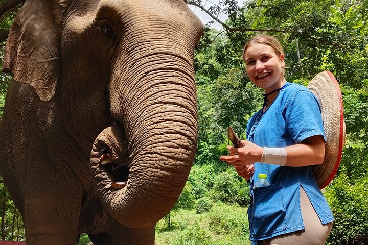 Ethical Elephant Visit and White Water Rafting in Chiang Mai
