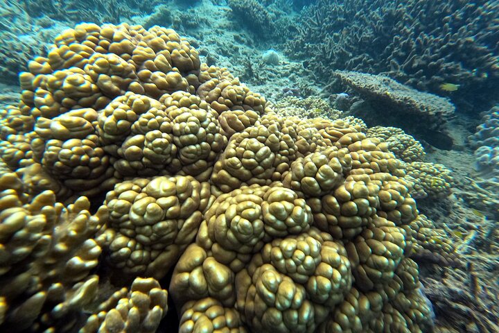 Okinawa Private Adventure Day: Beaches, Snorkeling & Waterfalls