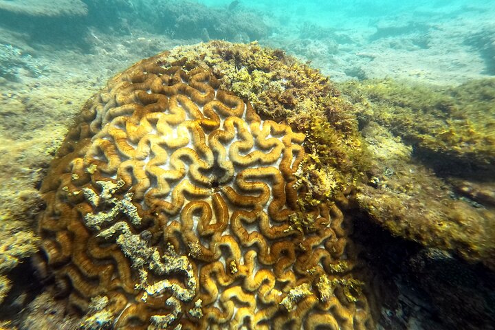 Okinawa Private Adventure Day: Beaches, Snorkeling & Waterfalls