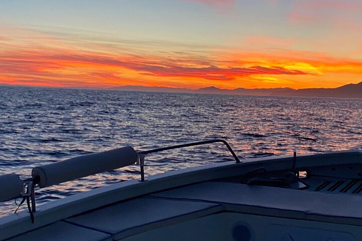 Cinque Terre Boat Tours Experience