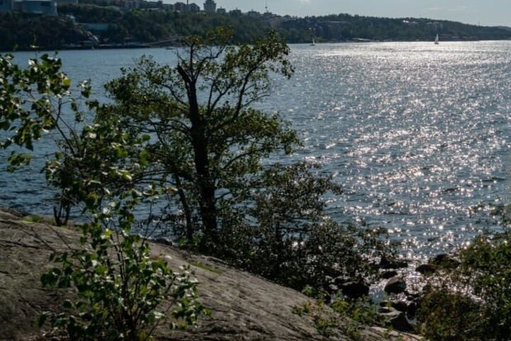 Stockholm Guided Archipelago Cruise Tour with Swedish Fika