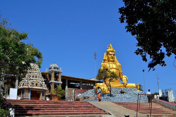 Trincomalee & Pigeon Island Day Tour with Seafood Lunch