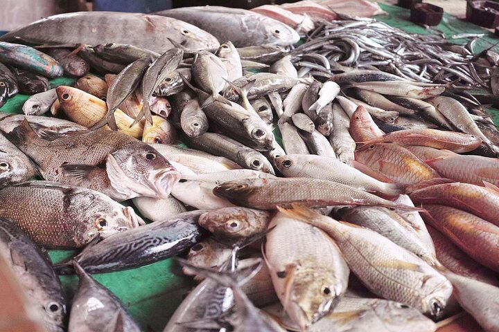 Trincomalee & Pigeon Island Day Tour with Seafood Lunch