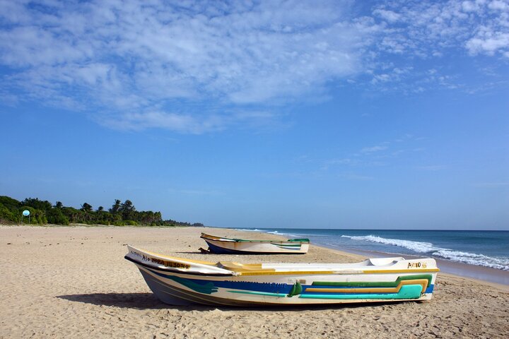 Trincomalee & Pigeon Island Day Tour with Seafood Lunch