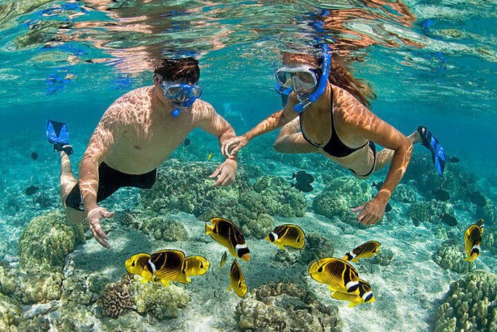 Trincomalee & Pigeon Island Day Tour with Seafood Lunch