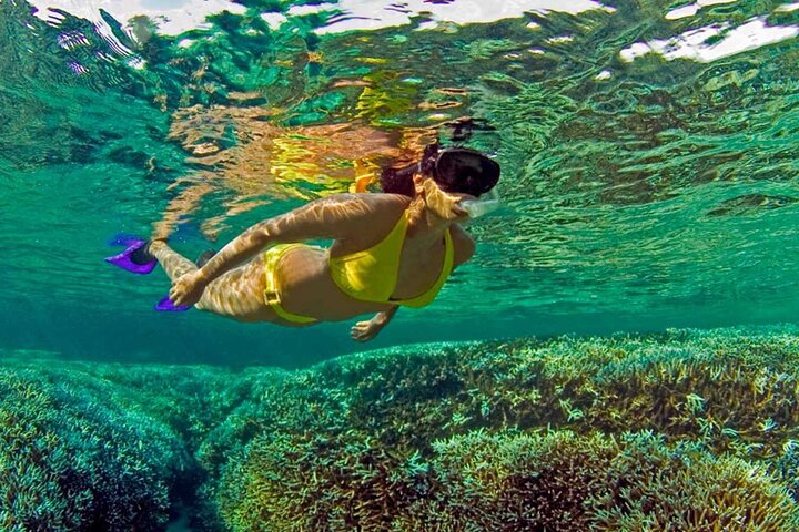 Trincomalee & Pigeon Island Day Tour with Seafood Lunch