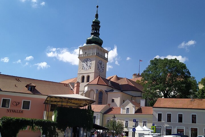 Wine Culture and UNESCO Gems Lednice Valtice Area and Mikulov