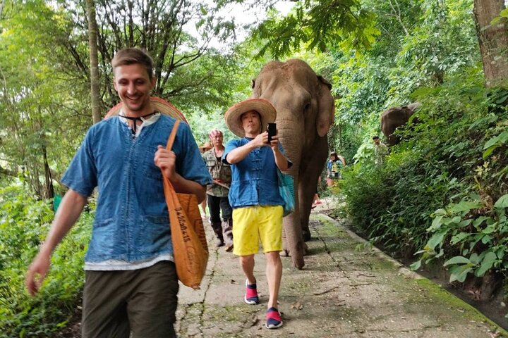 Ethical Elephant Visit and White Water Rafting in Chiang Mai