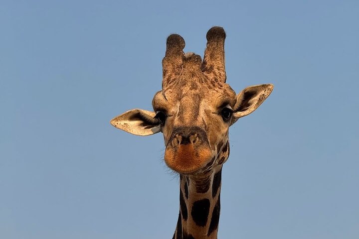 2 Days Murchison Falls 24hrs One Night Stay