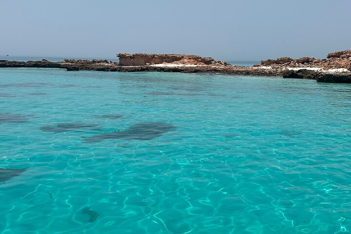 Daymaniyat Islands Snorkeling Sharing Trip