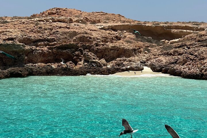 Daymaniyat Islands Snorkeling Sharing Trip