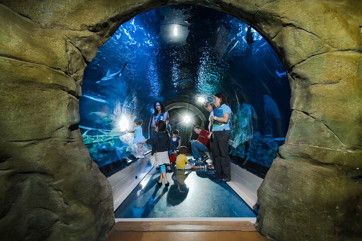 SEA LIFE Aquarium Grapevine Admission Ticket