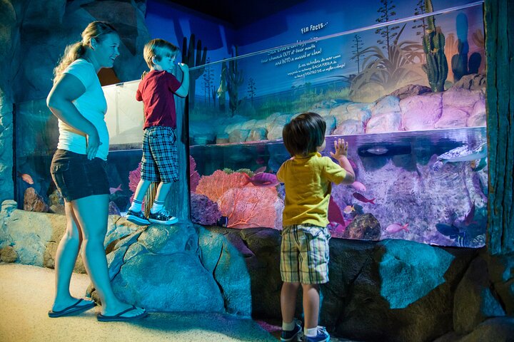 SEA LIFE Kansas City Aquarium Admission Ticket