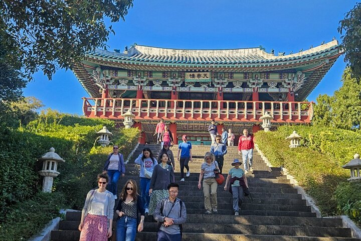 Jeju South-West Essentials: Hallasan & Signature Highlights