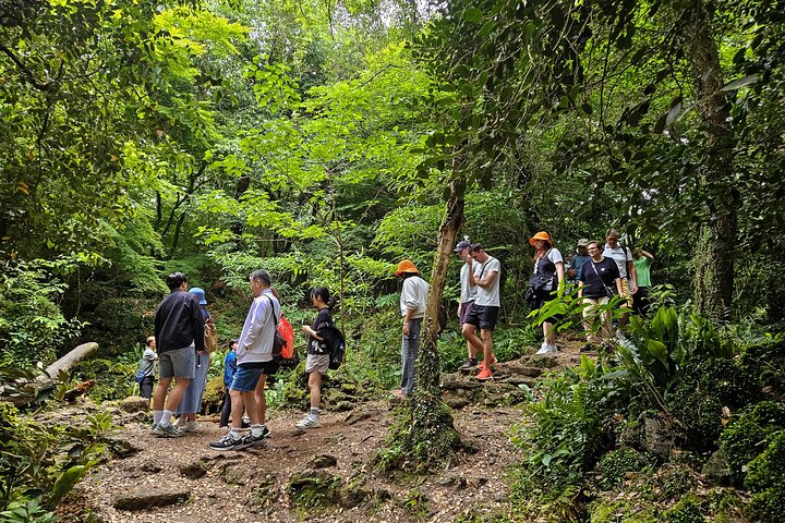 Jeju South-West Essentials: Hallasan & Signature Highlights