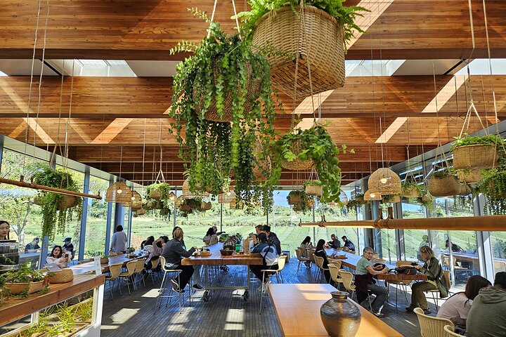 Jeju South-West Essentials: Hallasan & Signature Highlights