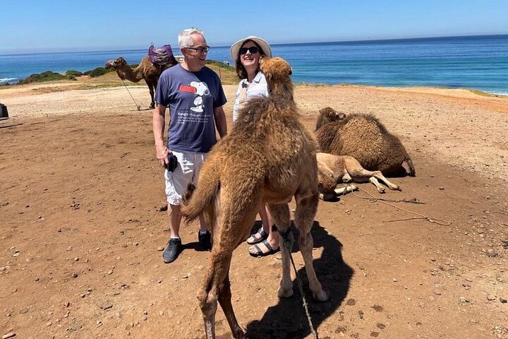 All inclusive luxury private Tangier Day Tour from Tarifa/Algecir
