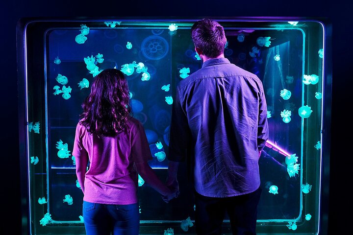 SEA LIFE Aquarium Grapevine Admission Ticket