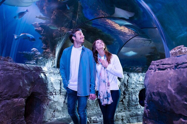 SEA LIFE Aquarium Grapevine Admission Ticket