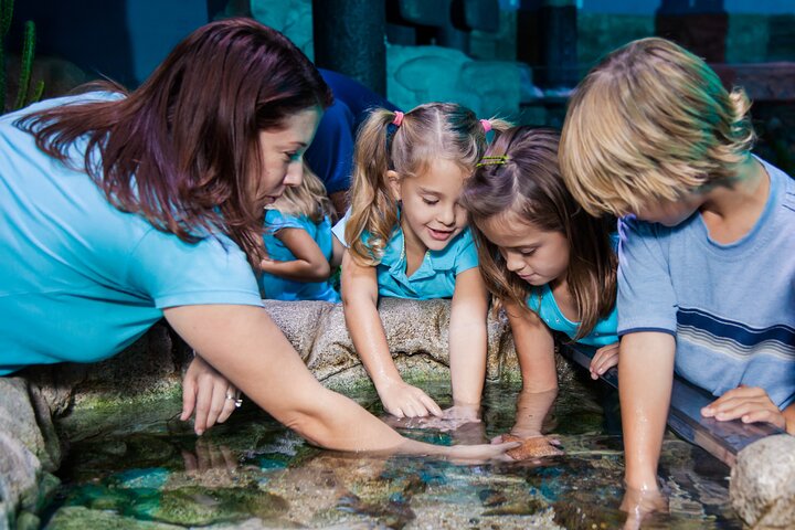 SEA LIFE Aquarium Grapevine Admission Ticket
