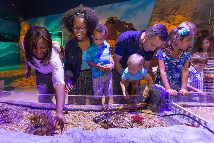 SEA LIFE Kansas City Aquarium Admission Ticket