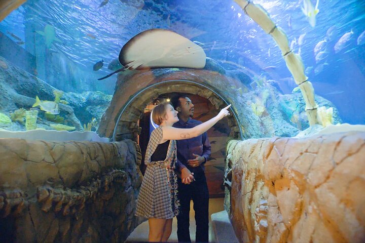 SEA LIFE Kansas City Aquarium Admission Ticket