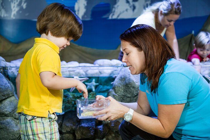 SEA LIFE Kansas City Aquarium Admission Ticket