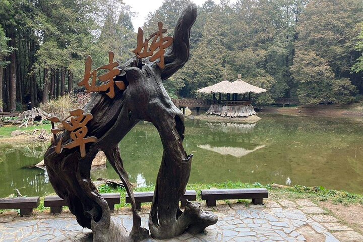 Alishan National Forest Day Tour from Taichung with Hotel Pickup