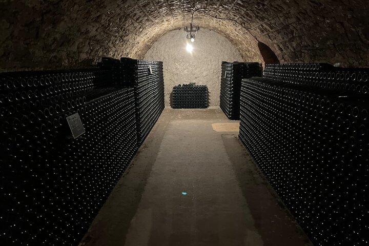Epernay South Half Day Visit and Champagne Tastings