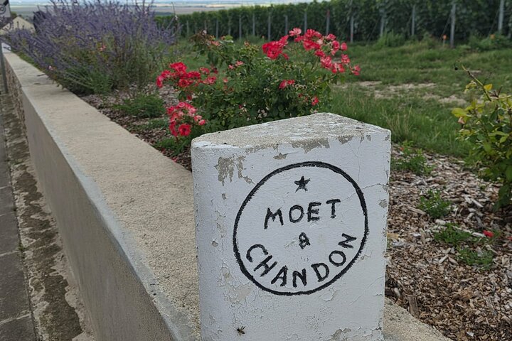 Epernay South Half Day Visit and Champagne Tastings