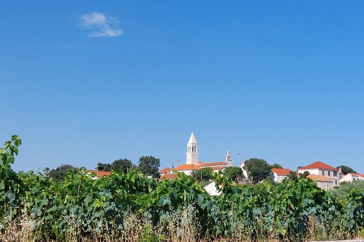 Korčula Island Half Day Tour with a Local Guide