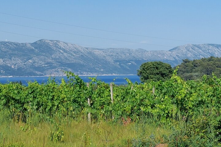 Korčula Island Half Day Tour with a Local Guide