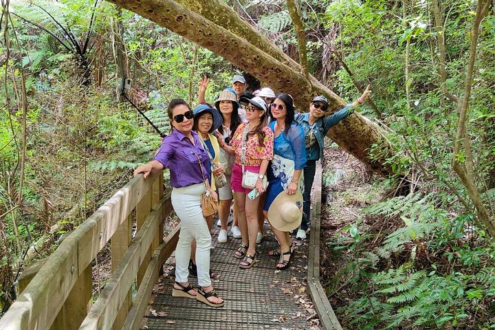 *Popular Tour* - Bay of Islands: Nature Adventure - 4hrs