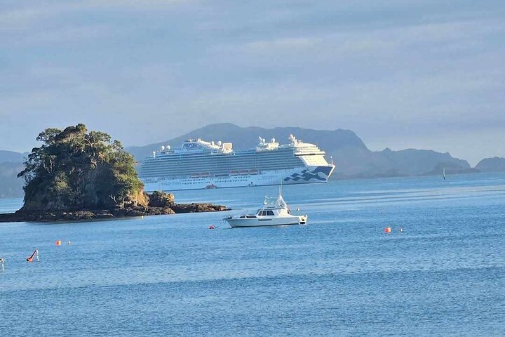 *Popular Tour* - Bay of Islands: Nature Adventure - 4hrs