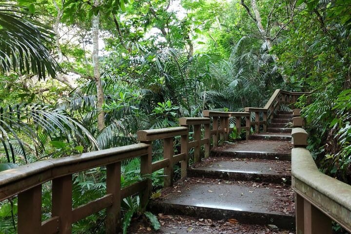 All-Inclusive Ishigaki Shore Excursion for Cruise Passengers