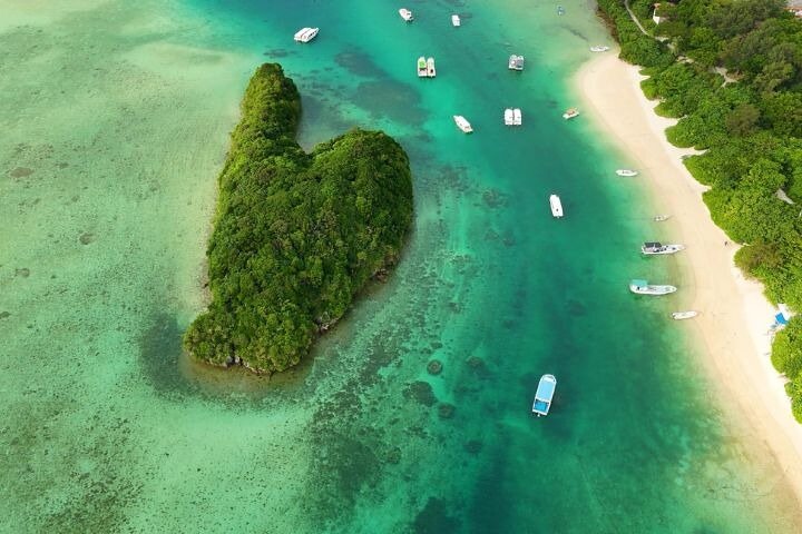 All-Inclusive Ishigaki Shore Excursion for Cruise Passengers