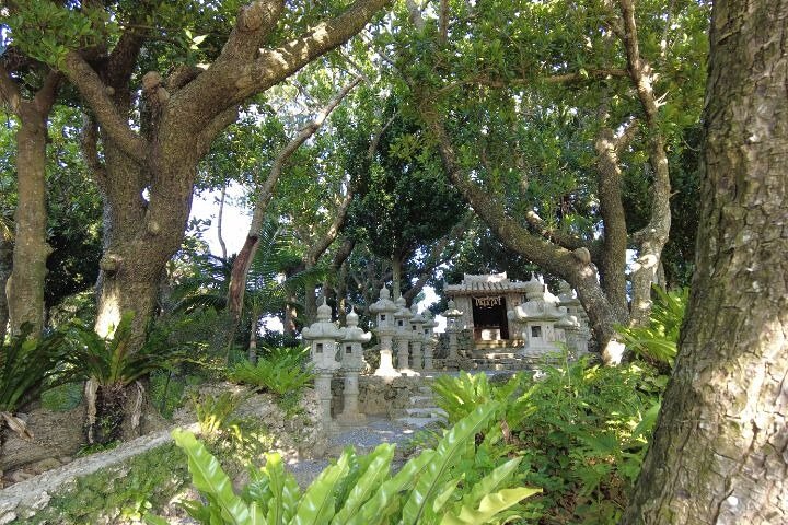 All-Inclusive Ishigaki Shore Excursion for Cruise Passengers