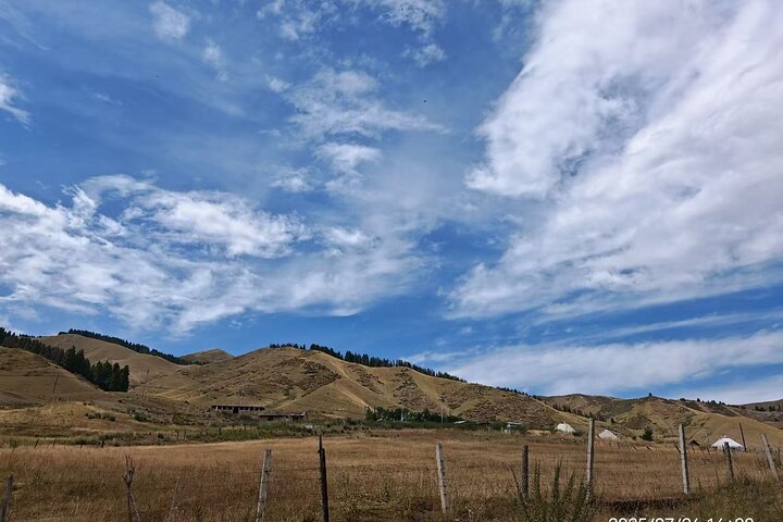 Private Day Tour to Nanshan Pasture and Tianshan Grand Canyon
