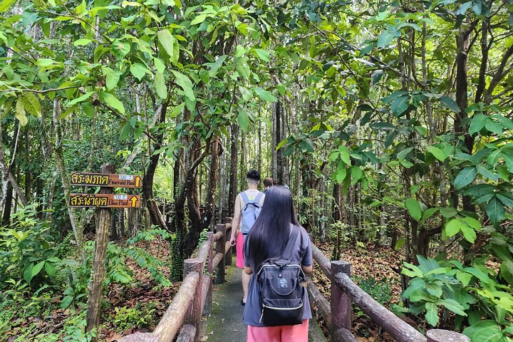 Krabi: Tiger Cave, Emerald Pool, and Hot Springs Small-Group Tour