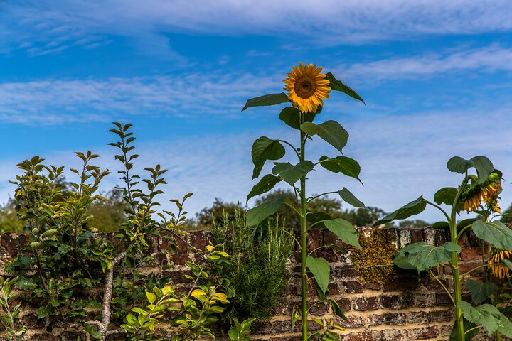 The Best of Kent: the England you imagined with a local expert